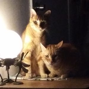 SOLD...Short sleeve Dress